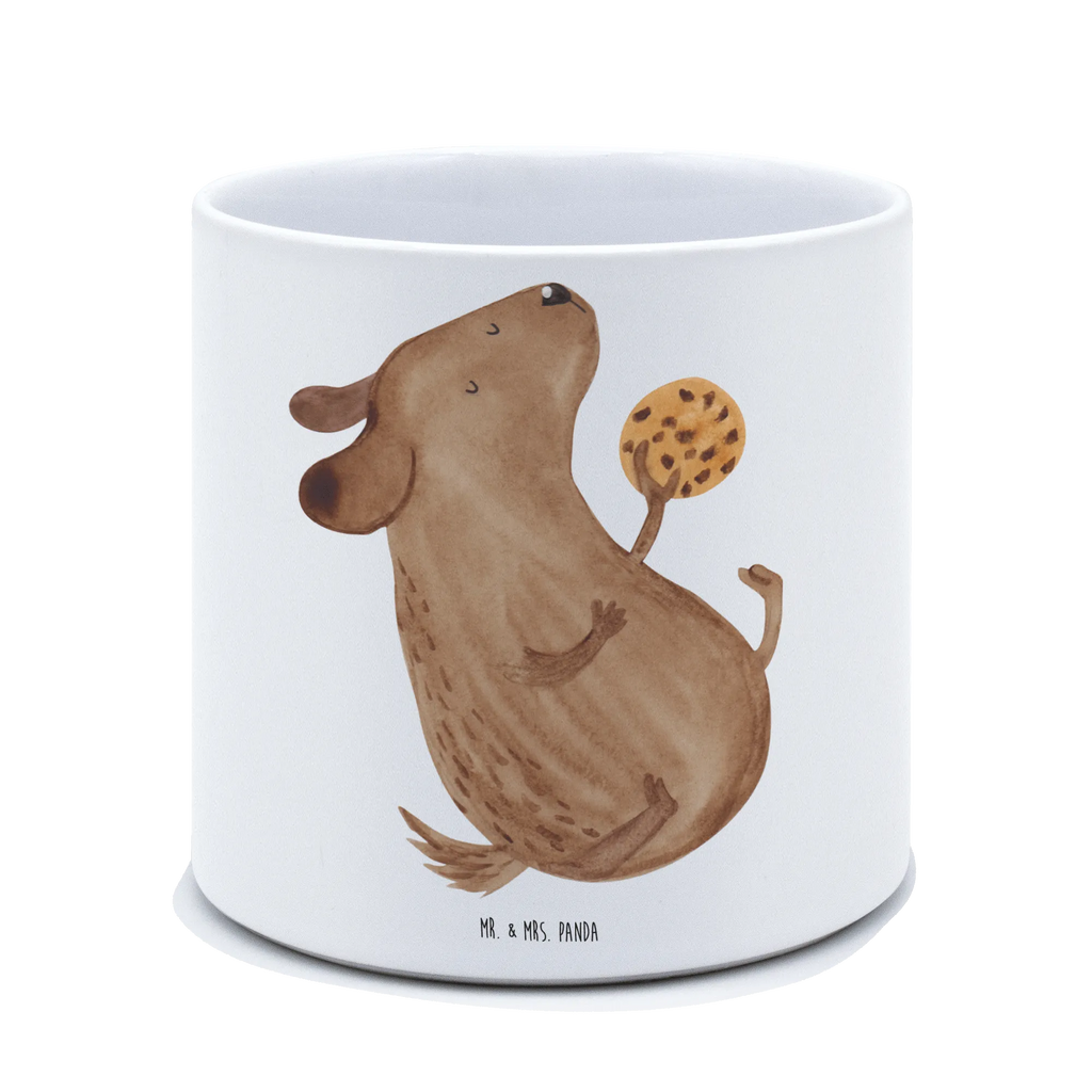 XL flower pot Dog biscuit Blumentopf Für Wohnzimmer XL, Blumentopf Für Terrasse XL, Blumentopf Aus Beton Groß, Blumentopf Extra Groß, Blumentopf Groß Außenbereich, Blumentopf Rustikal Groß, Blumentopf Für Garten Groß, Pflanztopf Garten Groß, Pflanzkübel Groß, Dekotopf Groß, Blumentopf Modern Groß, Blumentopf Groß Aus Kunststoff, Geschenk Frauen, Blumentopf Klassisch Groß, Wetterfester XL Blumentopf, Runder XL Blumentopf, Blumentopf Groß Innenbereich, Blumentopf Für Balkon Groß, Pflanzgefäß Terrasse Groß, Pflanztopf Groß, Tiefer Blumentopf, Blumentopf XXL, Eckiger XL Blumentopf, XL Übertopf Dekorativ, Blumentopf Design XL, Großer Blumentopf, Frostsicherer Großer Blumentopf, Blumentopf Aus Ton XXL, Großer Pflanzbehälter, Blumentopf Aus Keramik XL, Übertopf XL, Pflanzkübel Für Palmen, Hoher Blumentopf, Pflanzgefäß XL, Blumentopf Für Große Pflanzen, XL Blumentopf, Robuster Blumentopf Groß, Großer Blumentopf Für Innen Und Außen, Sprüche, Hund, Hunderasse, Hundebesitzer, Hundemotiv, Haustier, Tierliebhaber, Hundesnacks, Hundeleckerli, Leckerli, Hundekekse
