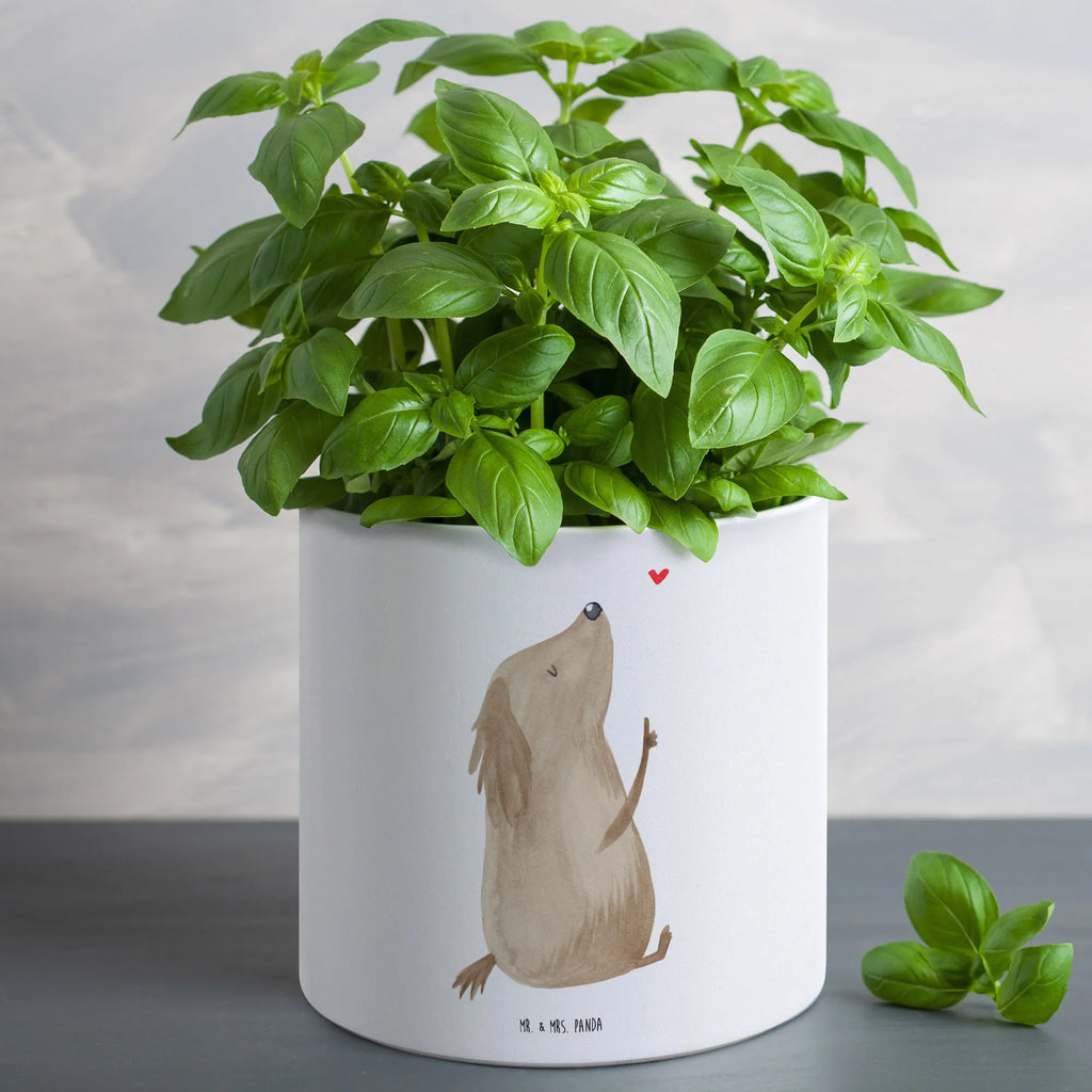 XL flower pot Dog Love Hoher Blumentopf, Blumentopf Extra Groß, Blumentopf Modern Groß, Pflanzkübel Für Palmen, Pflanztopf Groß, Blumentopf Design XL, Blumentopf Groß Außenbereich, Blumentopf Klassisch Groß, Blumentopf Für Große Pflanzen, Runder XL Blumentopf, Pflanzgefäß Terrasse Groß, Blumentopf Aus Keramik XL, Frostsicherer Großer Blumentopf, Blumentopf Für Terrasse XL, Großer Blumentopf, Robuster Blumentopf Groß, Pflanzgefäß XL, Dekotopf Groß, Blumentopf Rustikal Groß, Großer Blumentopf Für Innen Und Außen, XL Blumentopf, Pflanztopf Garten Groß, Tiefer Blumentopf, Blumentopf Aus Beton Groß, Blumentopf Aus Ton XXL, Großer Pflanzbehälter, Eckiger XL Blumentopf, Blumentopf Groß Innenbereich, Wetterfester XL Blumentopf, Pflanzkübel Groß, Blumentopf Für Balkon Groß, Blumentopf XXL, Übertopf XL, Blumentopf Groß Aus Kunststoff, Blumentopf Für Garten Groß, Blumentopf Für Wohnzimmer XL, XL Übertopf Dekorativ, Hund, Hundemotiv, Haustier, Hunderasse, Tierliebhaber, Hundebesitzer, Sprüche, Liebe, Hunde, Frauchen, Hundeglück, Hundeliebe