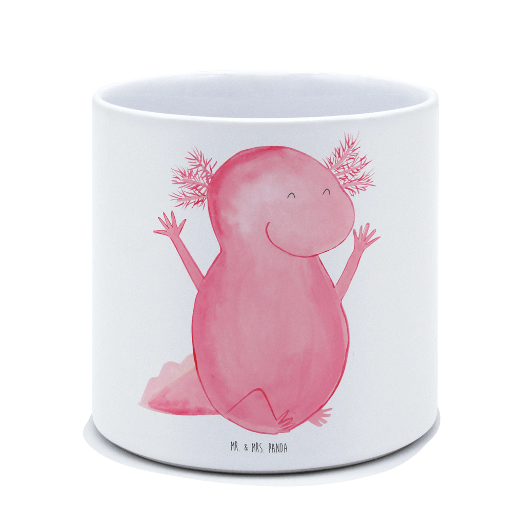 XL flower pot axolotl Hooray Axolotl, Axelotl, marine animals, Mexican walking fish, salamander, motivation, fun, satisfaction, cheerful, joy, amphibian, tail, axolot, axolotl