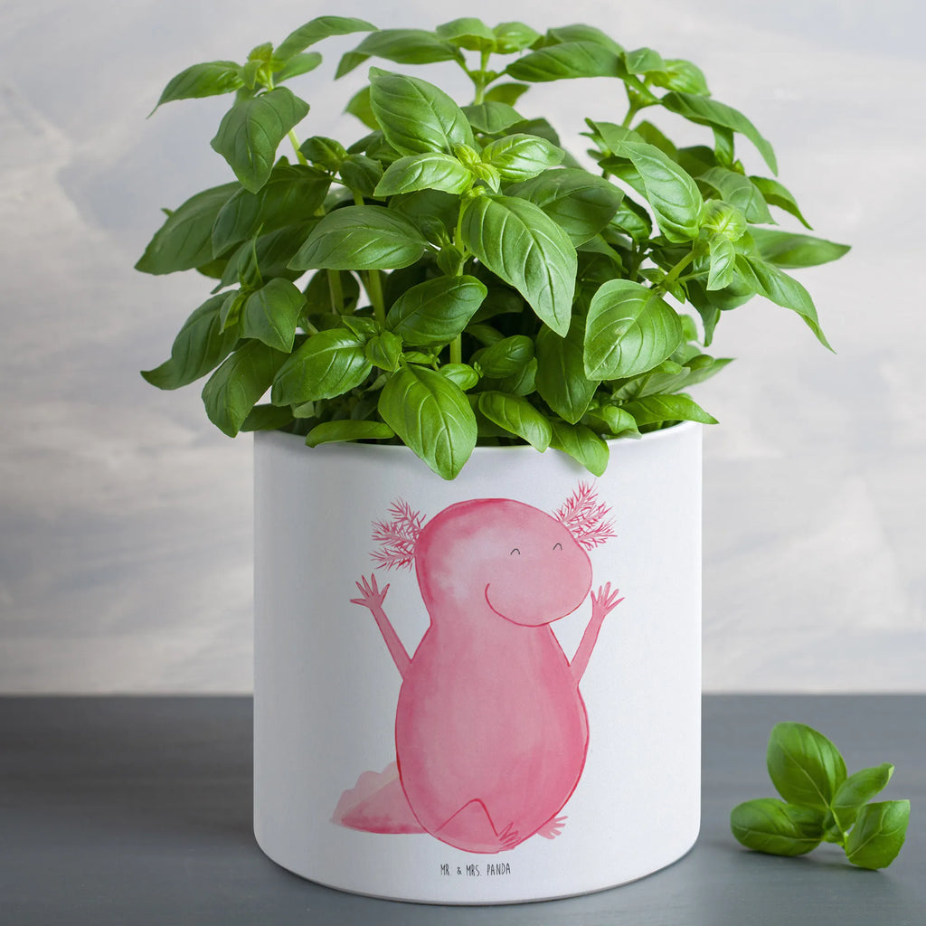 XL flower pot axolotl Hooray Axolotl, Axelotl, marine animals, Mexican walking fish, salamander, motivation, fun, satisfaction, cheerful, joy, amphibian, tail, axolot, axolotl