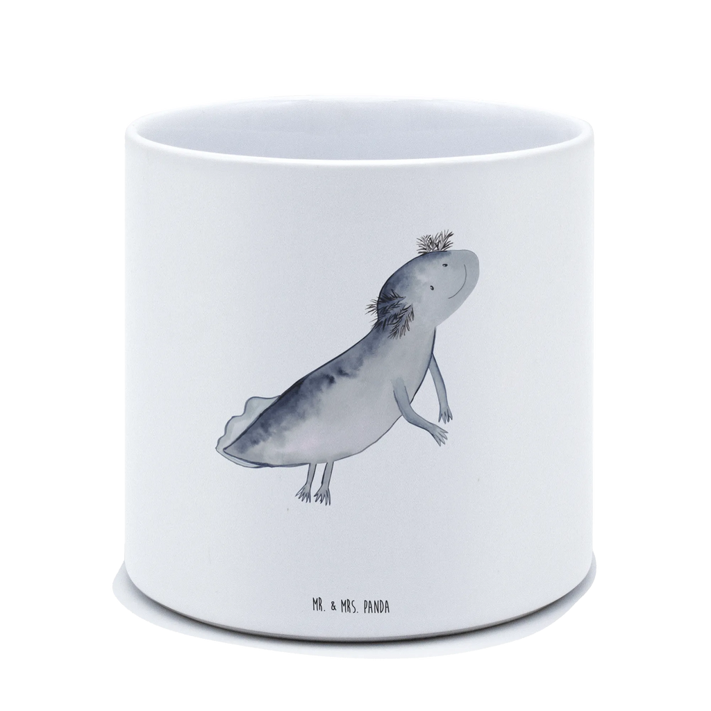 XL flower pot axolotl To swim Axolotl, Axelotl, marine animals, Mexican walking fish, salamander, amphibians, problem, problems, motivation, solutions, tail, axolot