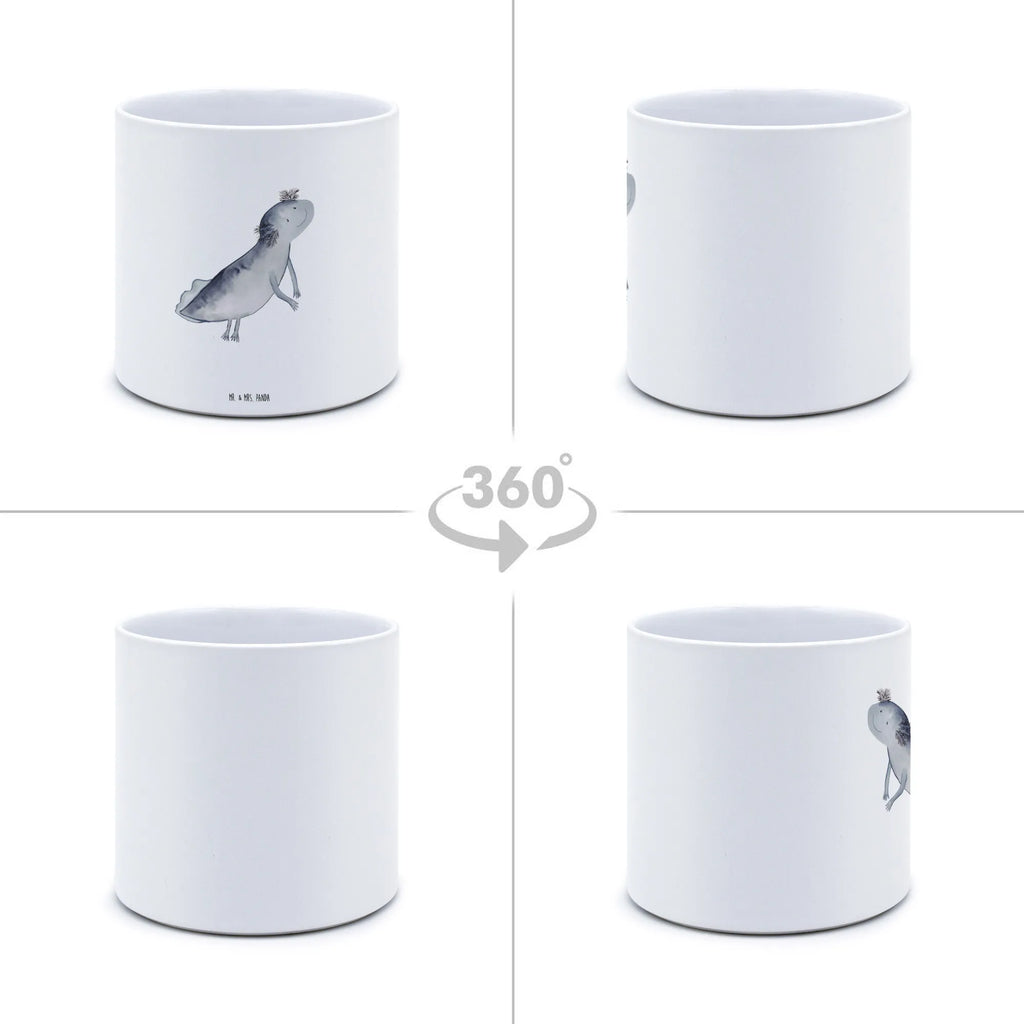 XL flower pot axolotl To swim Axolotl, Axelotl, marine animals, Mexican walking fish, salamander, amphibians, problem, problems, motivation, solutions, tail, axolot