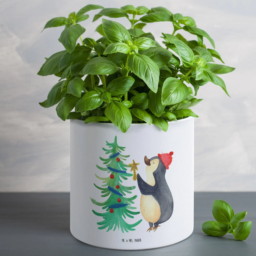 XL flower pot penguin Christmas tree Winter, Christmas, Christmas time, snow, Penguin