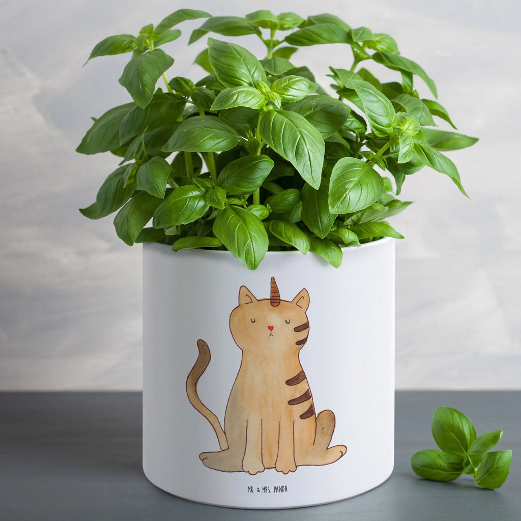 XL flower pot unicorn Cat unicorn, unicorns, Rainbow, Kittycorn, cat lover, Kitty, Glitter, Unicorn, cat present, cat gift
