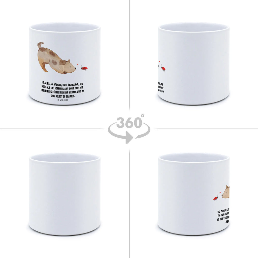 XL Blumentopf Hund Marienkäfer Frostsicherer Großer Blumentopf, Pflanztopf Garten Groß, Blumentopf Design XL, Hoher Blumentopf, Blumentopf Aus Ton XXL, Pflanzgefäß Terrasse Groß, Geschenk Frauen, Blumentopf Aus Keramik XL, Pflanzkübel Groß, Blumentopf Für Garten Groß, Übertopf XL, Großer Blumentopf, Eckiger XL Blumentopf, Blumentopf Für Terrasse XL, XL Übertopf Dekorativ, Blumentopf Klassisch Groß, Blumentopf Modern Groß, Pflanzkübel Für Palmen, Tiefer Blumentopf, Wetterfester XL Blumentopf, Blumentopf Für Balkon Groß, Pflanztopf Groß, XL Blumentopf, Großer Pflanzbehälter, Blumentopf Groß Innenbereich, Dekotopf Groß, Großer Blumentopf Für Innen Und Außen, Blumentopf Für Große Pflanzen, Blumentopf Groß Außenbereich, Blumentopf Für Wohnzimmer XL, Robuster Blumentopf Groß, Blumentopf Aus Beton Groß, Blumentopf Rustikal Groß, Blumentopf Extra Groß, Blumentopf XXL, Blumentopf Groß Aus Kunststoff, Runder XL Blumentopf, Pflanzgefäß XL, Sprüche, Hund, Hunderasse, Hundebesitzer, Hundemotiv, Haustier, Tierliebhaber, Hunde, Mischling, Hundespruch, Marienkäfer, Mischlinghund