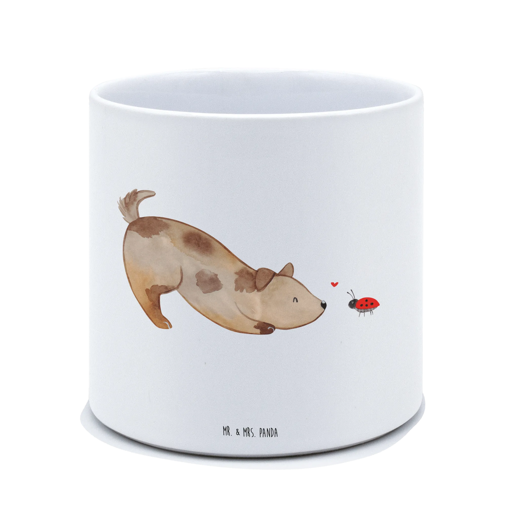 XL Blumentopf Hund Marienkäfer Frostsicherer Großer Blumentopf, Pflanztopf Garten Groß, Blumentopf Design XL, Hoher Blumentopf, Blumentopf Aus Ton XXL, Pflanzgefäß Terrasse Groß, Geschenk Frauen, Blumentopf Aus Keramik XL, Pflanzkübel Groß, Blumentopf Für Garten Groß, Übertopf XL, Großer Blumentopf, Eckiger XL Blumentopf, Blumentopf Für Terrasse XL, XL Übertopf Dekorativ, Blumentopf Klassisch Groß, Blumentopf Modern Groß, Pflanzkübel Für Palmen, Tiefer Blumentopf, Wetterfester XL Blumentopf, Blumentopf Für Balkon Groß, Pflanztopf Groß, XL Blumentopf, Großer Pflanzbehälter, Blumentopf Groß Innenbereich, Dekotopf Groß, Großer Blumentopf Für Innen Und Außen, Blumentopf Für Große Pflanzen, Blumentopf Groß Außenbereich, Blumentopf Für Wohnzimmer XL, Robuster Blumentopf Groß, Blumentopf Aus Beton Groß, Blumentopf Rustikal Groß, Blumentopf Extra Groß, Blumentopf XXL, Blumentopf Groß Aus Kunststoff, Runder XL Blumentopf, Pflanzgefäß XL, Sprüche, Hund, Hunderasse, Hundebesitzer, Hundemotiv, Haustier, Tierliebhaber, Hunde, Mischling, Hundespruch, Marienkäfer, Mischlinghund