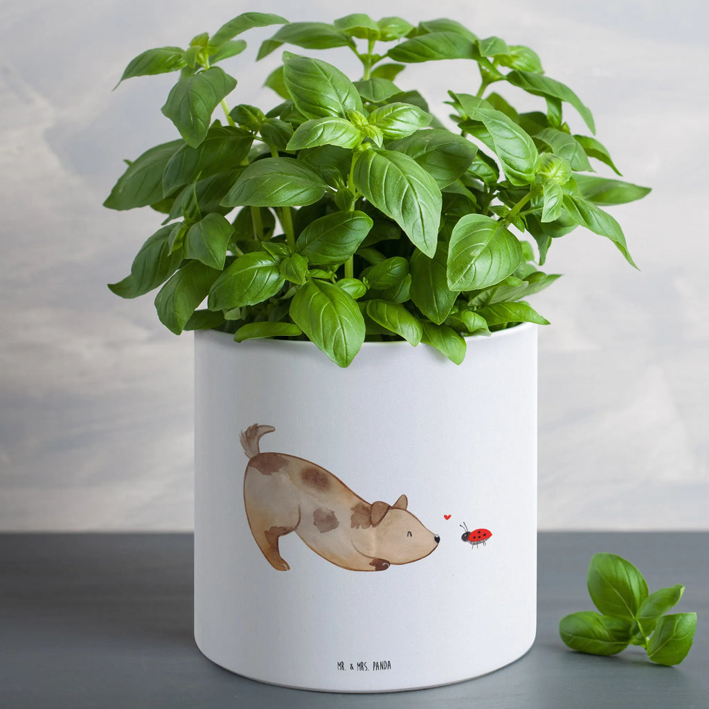 XL Blumentopf Hund Marienkäfer Frostsicherer Großer Blumentopf, Pflanztopf Garten Groß, Blumentopf Design XL, Hoher Blumentopf, Blumentopf Aus Ton XXL, Pflanzgefäß Terrasse Groß, Geschenk Frauen, Blumentopf Aus Keramik XL, Pflanzkübel Groß, Blumentopf Für Garten Groß, Übertopf XL, Großer Blumentopf, Eckiger XL Blumentopf, Blumentopf Für Terrasse XL, XL Übertopf Dekorativ, Blumentopf Klassisch Groß, Blumentopf Modern Groß, Pflanzkübel Für Palmen, Tiefer Blumentopf, Wetterfester XL Blumentopf, Blumentopf Für Balkon Groß, Pflanztopf Groß, XL Blumentopf, Großer Pflanzbehälter, Blumentopf Groß Innenbereich, Dekotopf Groß, Großer Blumentopf Für Innen Und Außen, Blumentopf Für Große Pflanzen, Blumentopf Groß Außenbereich, Blumentopf Für Wohnzimmer XL, Robuster Blumentopf Groß, Blumentopf Aus Beton Groß, Blumentopf Rustikal Groß, Blumentopf Extra Groß, Blumentopf XXL, Blumentopf Groß Aus Kunststoff, Runder XL Blumentopf, Pflanzgefäß XL, Sprüche, Hund, Hunderasse, Hundebesitzer, Hundemotiv, Haustier, Tierliebhaber, Hunde, Mischling, Hundespruch, Marienkäfer, Mischlinghund