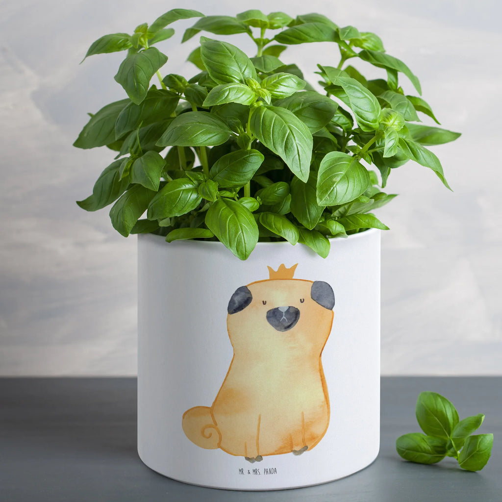 XL Blumentopf Mops Krone Pflanzgefäß XL, Hoher Blumentopf, Blumentopf Groß Innenbereich, Blumentopf Design XL, Runder XL Blumentopf, Blumentopf Groß Aus Kunststoff, Blumentopf Für Garten Groß, Blumentopf Aus Keramik XL, Blumentopf Für Terrasse XL, Blumentopf Rustikal Groß, Dekotopf Groß, Großer Blumentopf Für Innen Und Außen, Eckiger XL Blumentopf, Frostsicherer Großer Blumentopf, Großer Pflanzbehälter, Blumentopf Für Wohnzimmer XL, Übertopf XL, Blumentopf XXL, XL Übertopf Dekorativ, Blumentopf Aus Ton XXL, Pflanztopf Garten Groß, Blumentopf Für Große Pflanzen, Robuster Blumentopf Groß, Blumentopf Extra Groß, Geschenk Frauen, Pflanzgefäß Terrasse Groß, Großer Blumentopf, Blumentopf Groß Außenbereich, Blumentopf Für Balkon Groß, Tiefer Blumentopf, Wetterfester XL Blumentopf, Pflanzkübel Für Palmen, Pflanztopf Groß, Pflanzkübel Groß, Blumentopf Modern Groß, XL Blumentopf, Blumentopf Klassisch Groß, Blumentopf Aus Beton Groß, Sprüche, Hund, Hunderasse, Hundebesitzer, Hundemotiv, Haustier, Tierliebhaber, Kinderlos, Hausregel, Allergisch, Mops, Lustig, Hundebesitzer. Spruch