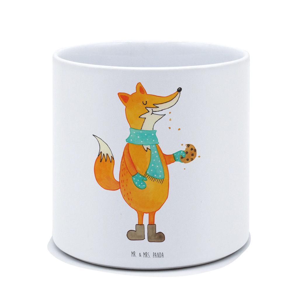 XL donica lis ciasteczko Lis