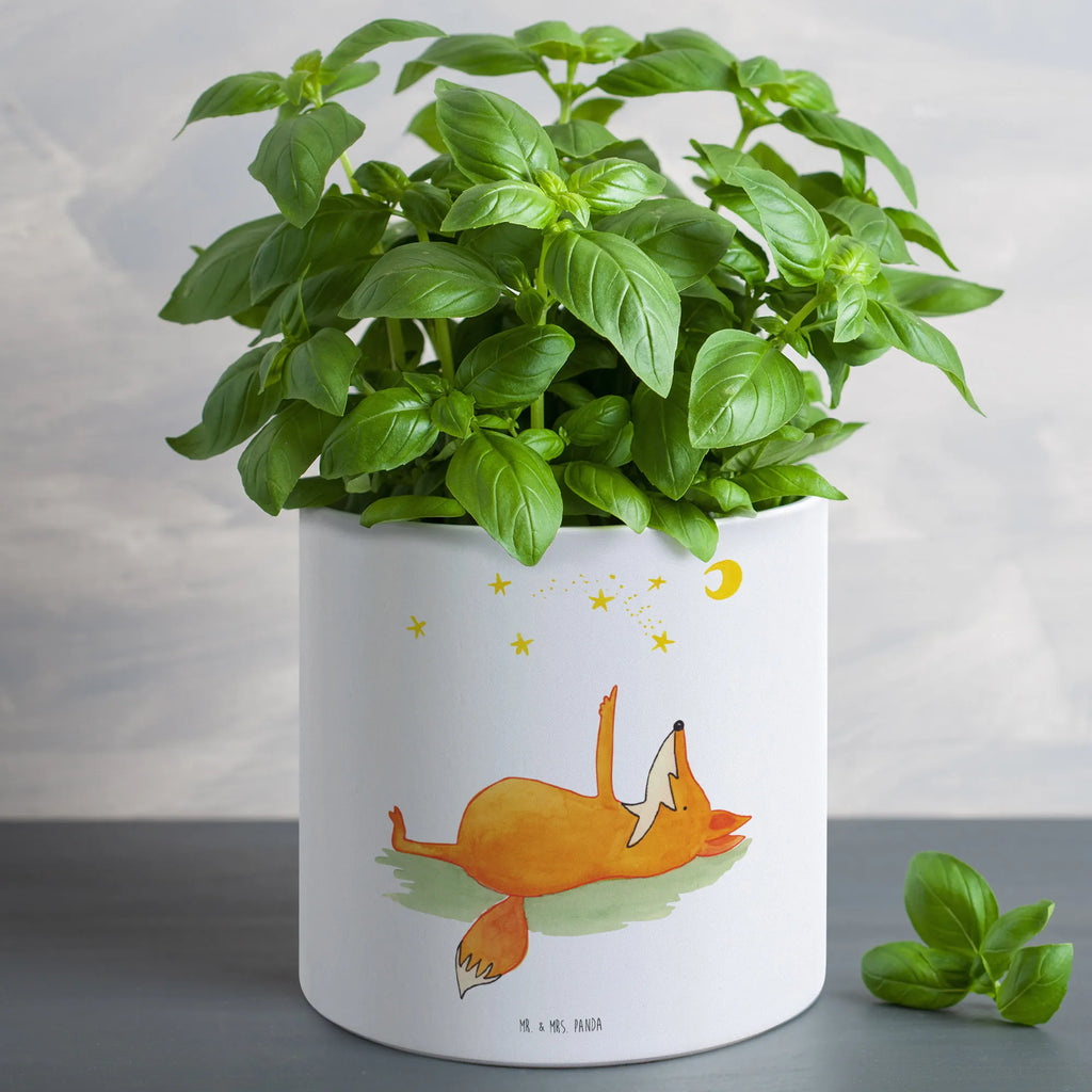 XL donica lis Gwiazdy Lis