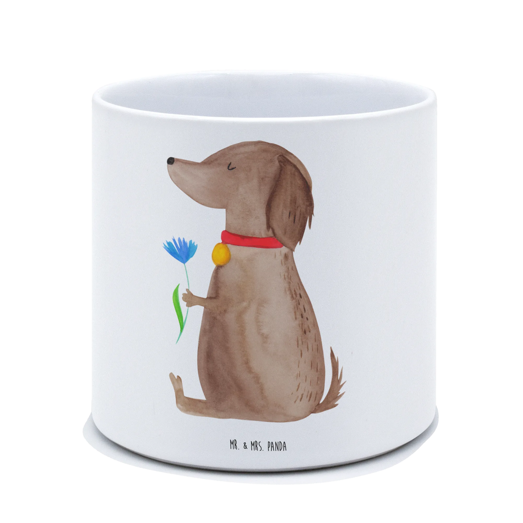 XL Blumentopf Hund Blume Pflanzkübel Für Palmen, Blumentopf Groß Innenbereich, Übertopf XL, Blumentopf Für Garten Groß, Blumentopf Aus Ton XXL, Blumentopf Für Balkon Groß, Blumentopf Für Große Pflanzen, Großer Blumentopf Für Innen Und Außen, Blumentopf Groß Außenbereich, Pflanzgefäß Terrasse Groß, Blumentopf Design XL, Hoher Blumentopf, Tiefer Blumentopf, Blumentopf Extra Groß, Pflanzkübel Groß, Frostsicherer Großer Blumentopf, XL Blumentopf, Blumentopf XXL, Blumentopf Für Wohnzimmer XL, Blumentopf Für Terrasse XL, Wetterfester XL Blumentopf, Blumentopf Rustikal Groß, Blumentopf Modern Groß, Großer Pflanzbehälter, Pflanztopf Groß, Runder XL Blumentopf, Pflanztopf Garten Groß, XL Übertopf Dekorativ, Blumentopf Groß Aus Kunststoff, Robuster Blumentopf Groß, Eckiger XL Blumentopf, Dekotopf Groß, Großer Blumentopf, Pflanzgefäß XL, Blumentopf Klassisch Groß, Blumentopf Aus Beton Groß, Blumentopf Aus Keramik XL, Hund, Hundemotiv, Haustier, Hunderasse, Tierliebhaber, Hundebesitzer, Sprüche, Hunde, Hundeliebe, Frauchen