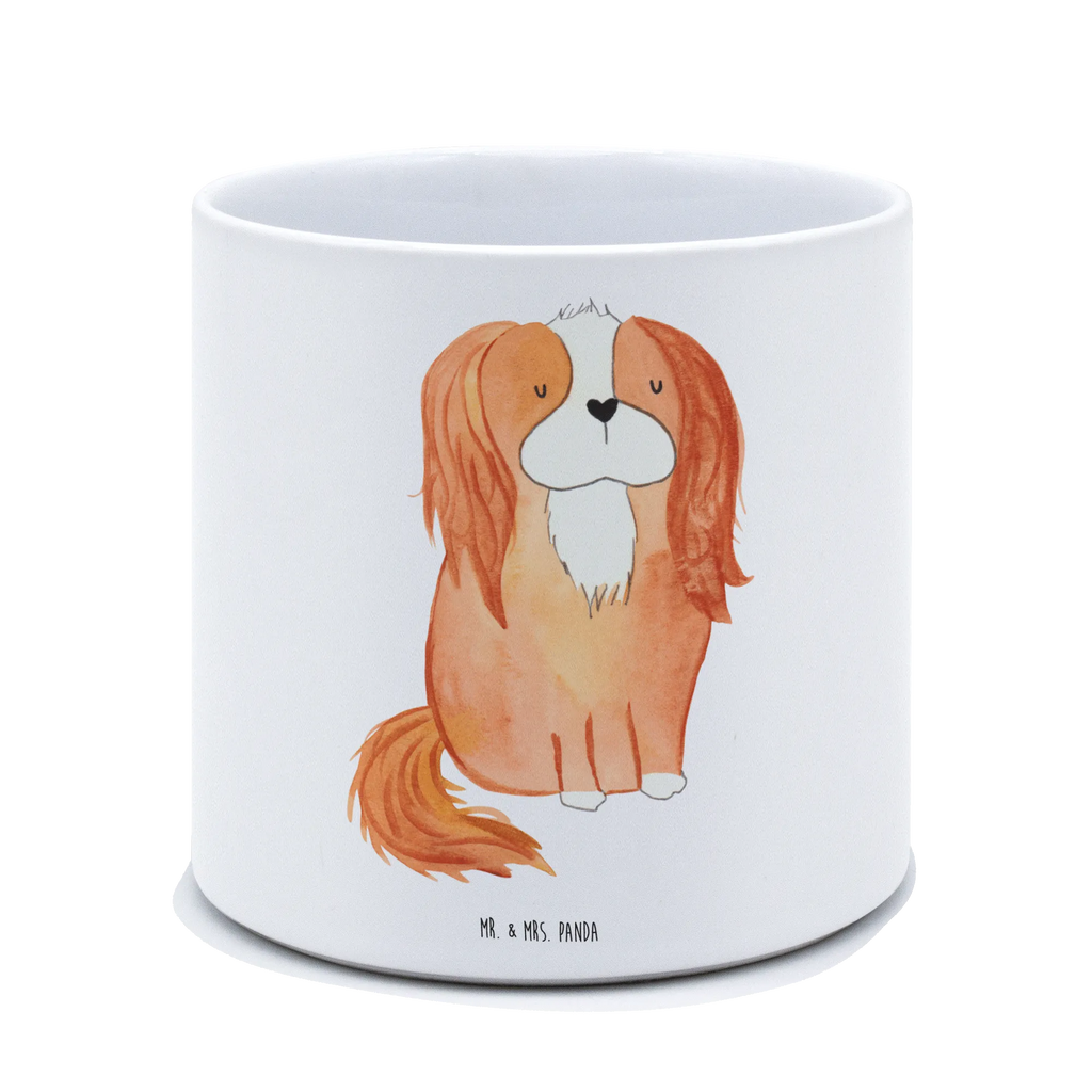 XL flower pot Dog Cavalier King Charles Spaniel dog, mutt, hound, woof, dog mama, dog breed, love dogs, love for dogs, dog decorative items, bag with dog print, funny gifts for dog owners, what do you give a dog lover, Christmas gifts for dogs, gifts for dogs, dog sayings, Sayings, Cavalier King Charles Spaniel, Spaniel, Cocker Spaniel, most beautiful dog, Dog