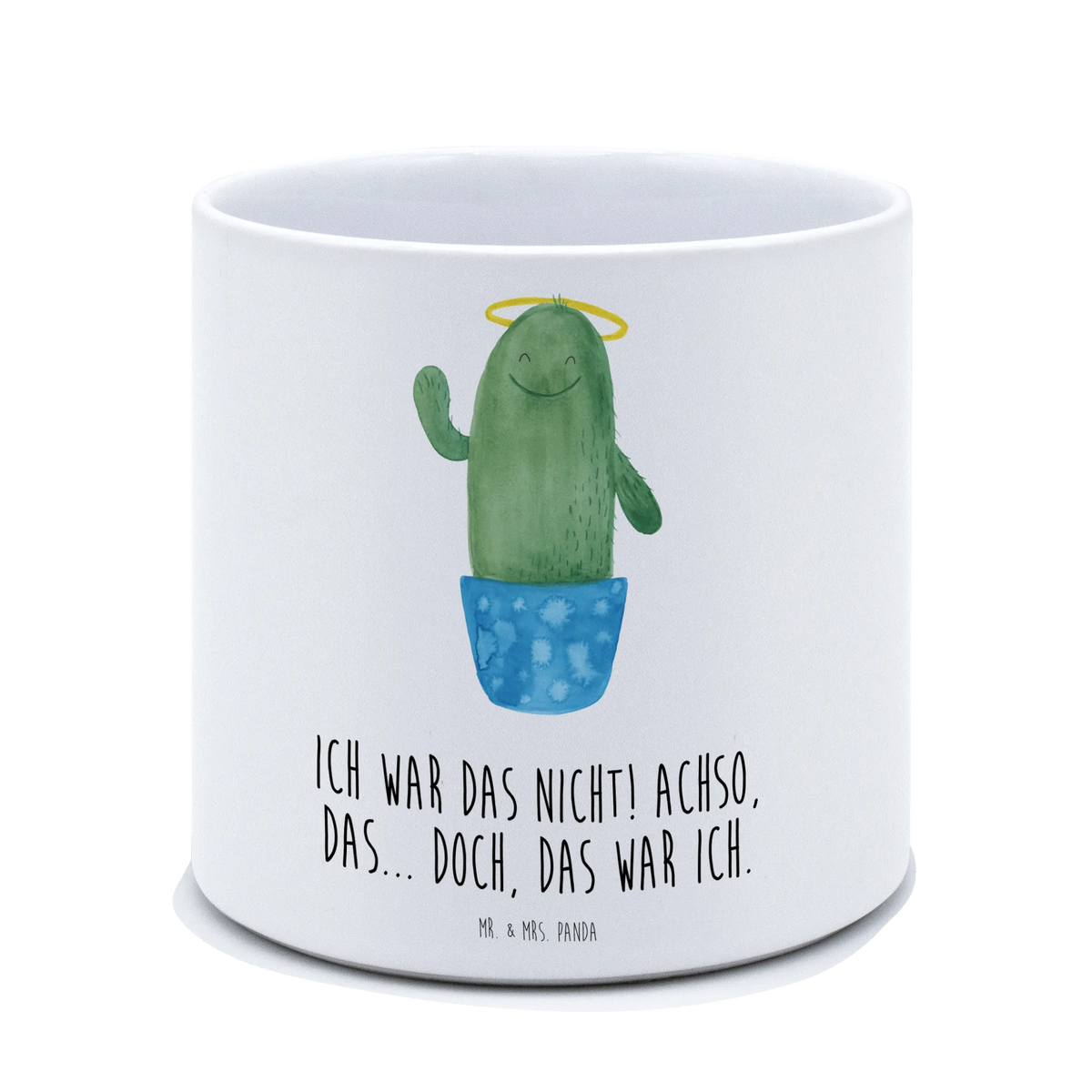 XL flower pot cactus Holy cactus, cactuses, plants, cactus plant, small green cactus, girlfriend, halo, parents, sisters, child, cheeky
