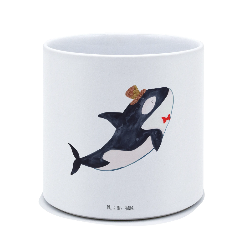 XL Blumentopf Orca Zylinder Blumentopf Für Wohnzimmer XL, Blumentopf Modern Groß, Pflanzgefäß Terrasse Groß, Blumentopf Für Terrasse XL, Pflanzkübel Für Palmen, Blumentopf Groß Innenbereich, XL Übertopf Dekorativ, Übertopf XL, Blumentopf Für Balkon Groß, Blumentopf Extra Groß, Großer Blumentopf Für Innen Und Außen, Blumentopf Rustikal Groß, Blumentopf Für Garten Groß, Großer Pflanzbehälter, Blumentopf Klassisch Groß, Pflanzgefäß XL, Blumentopf Aus Beton Groß, Blumentopf Für Große Pflanzen, Eckiger XL Blumentopf, Wetterfester XL Blumentopf, Robuster Blumentopf Groß, Blumentopf XXL, Blumentopf Design XL, Hoher Blumentopf, Pflanzkübel Groß, Dekotopf Groß, Frostsicherer Großer Blumentopf, Tiefer Blumentopf, Großer Blumentopf, Pflanztopf Garten Groß, Blumentopf Groß Aus Kunststoff, Pflanztopf Groß, Blumentopf Aus Keramik XL, Runder XL Blumentopf, XL Blumentopf, Blumentopf Aus Ton XXL, Blumentopf Groß Außenbereich, Meerestiere, Meer, Urlaub, Glitter, Feier, Glückwunsch, Orca, Fest, Geburtstag, Konfetti, Narwal, Fete, Glitzer