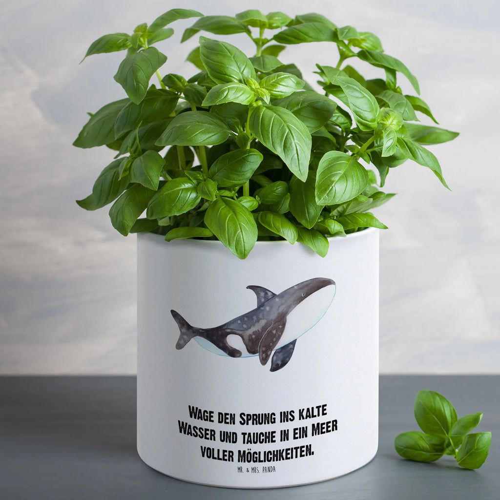 XL flower pot Orca Seafood, aquatic animals, ocean, sea, fish, shells, corals, reef, whale, narwhal, sea urchin, lobster, platypus, turtle, manatee, crocodile, orca, shrimp, gifts for seafood lovers, water world, underwater animals, underwater world, vacation, deep sea, seafood fans, gift ideas, seafood decoration, seafood posters, motivation, orcas, work, startup, self-love, new start, killer whale, opportunities, office