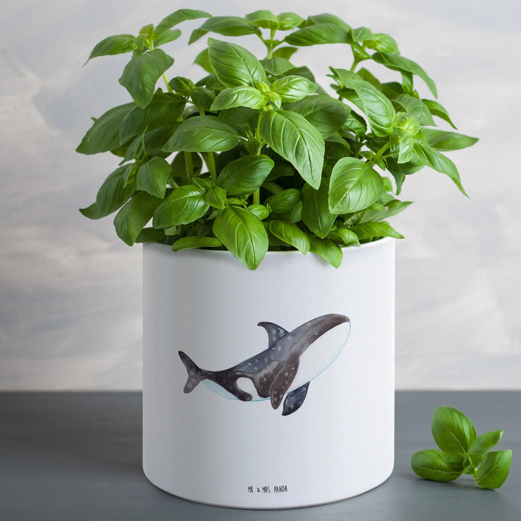 XL flower pot Orca Seafood, aquatic animals, ocean, sea, fish, shells, corals, reef, whale, narwhal, sea urchin, lobster, platypus, turtle, manatee, crocodile, orca, shrimp, gifts for seafood lovers, water world, underwater animals, underwater world, vacation, deep sea, seafood fans, gift ideas, seafood decoration, seafood posters, motivation, orcas, work, startup, self-love, new start, killer whale, opportunities, office