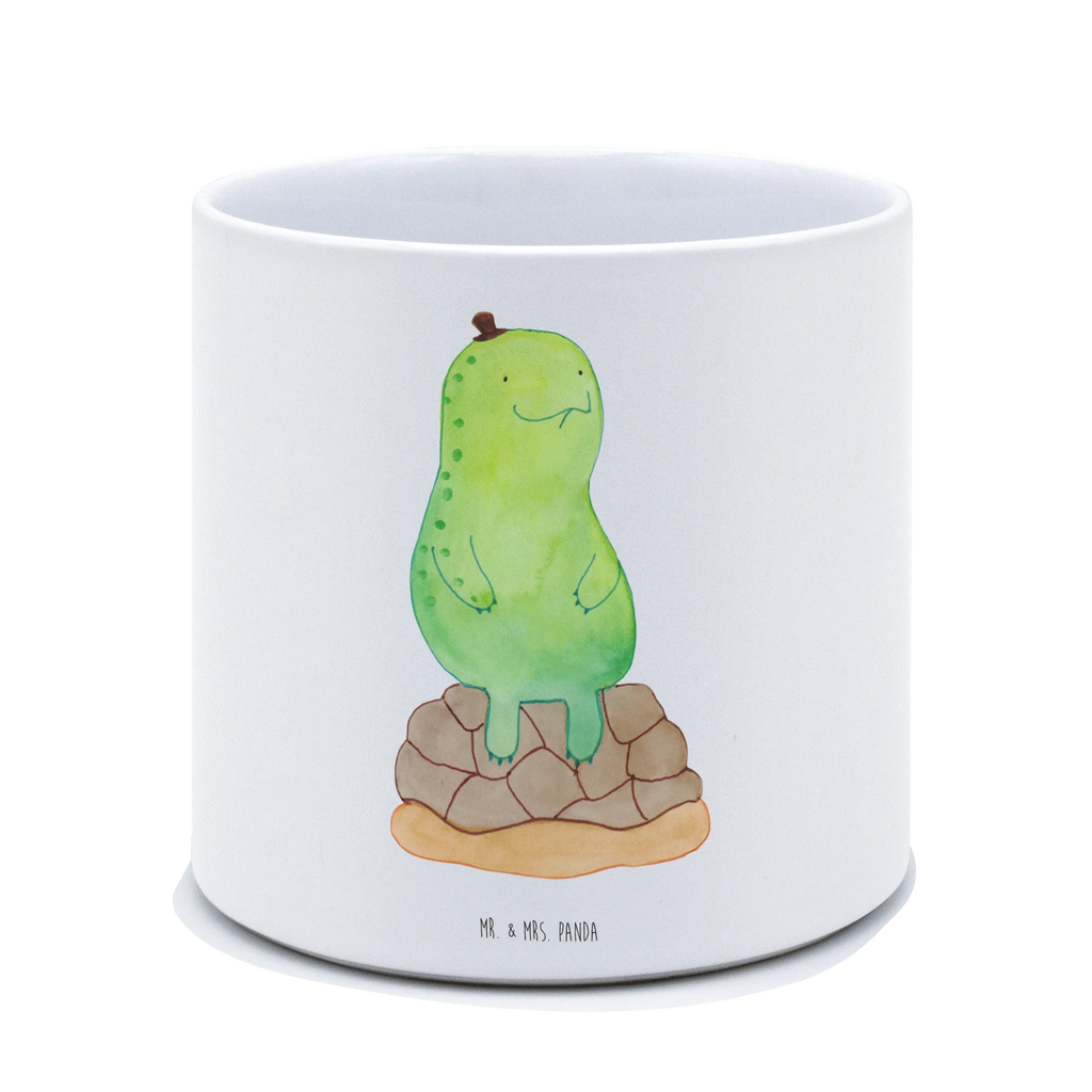 XL Blumentopf Schildkröte Pause Runder XL Blumentopf, Blumentopf Aus Keramik XL, Blumentopf Rustikal Groß, Pflanzkübel Für Palmen, Robuster Blumentopf Groß, Pflanztopf Garten Groß, Blumentopf Für Große Pflanzen, Blumentopf XXL, Frostsicherer Großer Blumentopf, Pflanzkübel Groß, Blumentopf Extra Groß, Blumentopf Design XL, Wetterfester XL Blumentopf, Hoher Blumentopf, Blumentopf Für Wohnzimmer XL, Pflanzgefäß XL, Blumentopf Aus Ton XXL, XL Blumentopf, Dekotopf Groß, Großer Blumentopf Für Innen Und Außen, Blumentopf Klassisch Groß, Übertopf XL, Eckiger XL Blumentopf, Blumentopf Groß Aus Kunststoff, Blumentopf Für Terrasse XL, XL Übertopf Dekorativ, Blumentopf Modern Groß, Blumentopf Aus Beton Groß, Blumentopf Für Balkon Groß, Blumentopf Groß Außenbereich, Blumentopf Für Garten Groß, Blumentopf Groß Innenbereich, Pflanzgefäß Terrasse Groß, Großer Pflanzbehälter, Großer Blumentopf, Tiefer Blumentopf, Pflanztopf Groß, Schildkröte, Entschleunigen, achtsam, Achtsamkeit