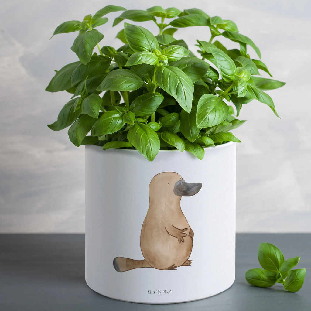 XL flower pot platypus courage Pflanzkübel Groß, Blumentopf Klassisch Groß, Blumentopf Für Wohnzimmer XL, Eckiger XL Blumentopf, Hoher Blumentopf, Runder XL Blumentopf, Frostsicherer Großer Blumentopf, Übertopf XL, Pflanztopf Groß, Blumentopf Modern Groß, Pflanzkübel Für Palmen, Dekotopf Groß, Blumentopf Für Terrasse XL, Blumentopf Für Balkon Groß, Blumentopf Design XL, Blumentopf Groß Innenbereich, Blumentopf Aus Beton Groß, Pflanzgefäß Terrasse Groß, Blumentopf Für Große Pflanzen, Großer Blumentopf Für Innen Und Außen, Blumentopf Für Garten Groß, Wetterfester XL Blumentopf, Blumentopf Extra Groß, Blumentopf Aus Keramik XL, Blumentopf Aus Ton XXL, Großer Blumentopf, Pflanzgefäß XL, Blumentopf XXL, Tiefer Blumentopf, Pflanztopf Garten Groß, Blumentopf Groß Aus Kunststoff, Robuster Blumentopf Groß, XL Blumentopf, Großer Pflanzbehälter, Blumentopf Rustikal Groß, XL Übertopf Dekorativ, Blumentopf Groß Außenbereich, Meerestiere, Meer, Urlaub, Weltreise, Neustart, Lebensweisheit, Arbeit, Mut, mutig, Büro, Raodtrip, Schnabeltier, Training, Neuanfang, Schnabeltiere, Motivation