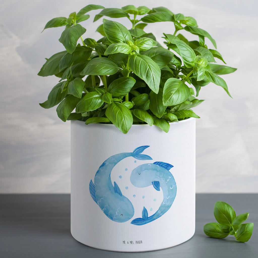XL flower pot Star sign fish constellations, birthdays, astrology, zodiac, date of birth, month of birth, gift february, fish constellation, fish sign, fish gift, birthday march, birthday february, fish, gift march