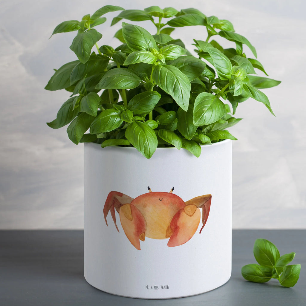 XL Blumentopf Sternzeichen Krebs Blumentopf Groß Innenbereich, Blumentopf Groß Außenbereich, Tiefer Blumentopf, Frostsicherer Großer Blumentopf, XL Übertopf Dekorativ, Robuster Blumentopf Groß, Dekotopf Groß, Blumentopf Für Balkon Groß, Großer Blumentopf Für Innen Und Außen, Blumentopf Für Große Pflanzen, Pflanzkübel Groß, Großer Pflanzbehälter, Übertopf XL, Blumentopf Für Wohnzimmer XL, Blumentopf Extra Groß, Blumentopf Aus Beton Groß, Runder XL Blumentopf, Blumentopf Modern Groß, Blumentopf XXL, Blumentopf Aus Keramik XL, Pflanzkübel Für Palmen, Großer Blumentopf, Pflanztopf Garten Groß, Pflanzgefäß XL, Blumentopf Rustikal Groß, Geschenk Frauen, Blumentopf Für Terrasse XL, Blumentopf Aus Ton XXL, Eckiger XL Blumentopf, Blumentopf Groß Aus Kunststoff, Blumentopf Für Garten Groß, Pflanzgefäß Terrasse Groß, Pflanztopf Groß, XL Blumentopf, Blumentopf Design XL, Blumentopf Klassisch Groß, Hoher Blumentopf, Wetterfester XL Blumentopf, Sternzeichen, Tierkreiszeichen, Horoskop, Astrologie, Aszendent, Geschenk Juli, Meerestier, Geschenk Juni, Krebs Sternzeichen, Geschenk Meer, Geburtstag Juli, Geburtstag Juni, Krebse, Krabbe, Krebs Geschenk