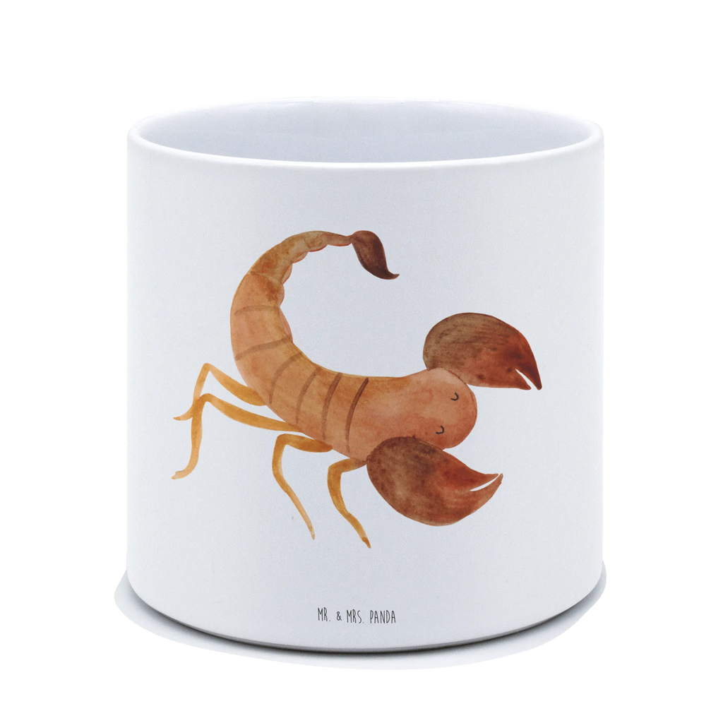 XL flower pot Star sign Scorpio constellations, birthdays, astrology, zodiac, date of birth, month of birth, gift october, gift november, scorpion gift, scorpion star sign, birthday october, birthday november, scorpions