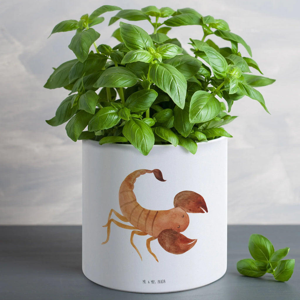 XL flower pot Star sign Scorpio constellations, birthdays, astrology, zodiac, date of birth, month of birth, gift october, gift november, scorpion gift, scorpion star sign, birthday october, birthday november, scorpions