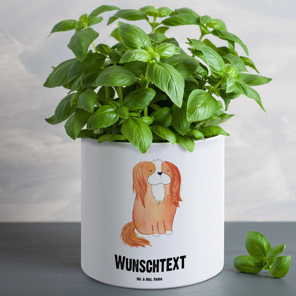 Personalised XL flower pot Dog Cavalier King Charles Spaniel XL Blumentopf Modern Mit Namen, Blumentopf Für Garten Mit Wunschtext, Blumentopf Groß Mit Gravur, Rustikaler XL Blumentopf Personalisiert, Großer Pflanztopf Für Mama Mit Wunschtext, Übertopf XL Mit Wunschtext, Großer Übertopf Für Hochzeit Mit Gravur, Pflanzkübel Groß Mit Namen, Großer Blumentopf Personalisiert, XL Blumentopf Mit Wunschtext, XL Blumentopf Für Wohnzimmer Mit Gravur, Blumentopf Groß Mit Text, Personalisierter XL Blumentopf, Blumentopf Für Balkon Mit Namen, Blumentopf Groß Aus Keramik Mit Gravur, Blumentopf Extra Groß Mit Personalisierung, Frostsicherer Pflanzkübel Mit Wunschtext, XL Blumentopf Aus Kunststoff Mit Wunschtext, XL Pflanzgefäß Mit Wunschtext, Großer Blumentopf Als Geschenk Mit Wunschtext, Pflanztopf Groß Mit Gravur, Wetterfester XL Blumentopf Mit Gravur, Klassischer Großer Blumentopf Mit Gravur, Ton Blumentopf Groß Mit Wunschtext, XL Blumentopf Mit Namen, Blumentopf Für Terrasse Personalisiert, Beton Blumentopf Groß Mit Namen, Großer Pflanzkübel Selbst Gestalten, Großer Dekotopf Mit Namen, Hund, Hundemotiv, Haustier, Hunderasse, Tierliebhaber, Hundebesitzer, Sprüche, Spruch, Cavalier King Charles Spaniel, schönster Hund, Spaniel, Cockerspaniel