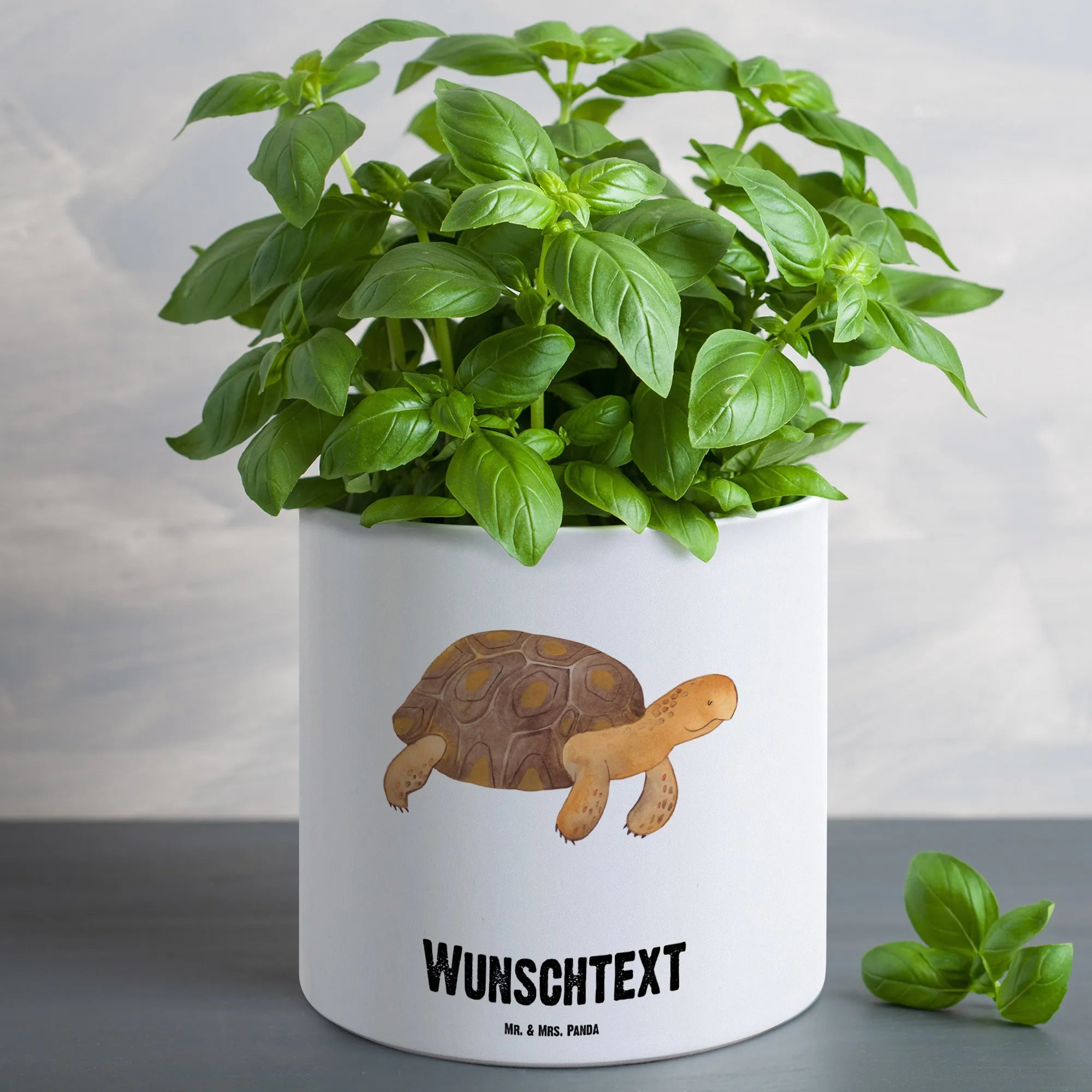 Personalisierter XL Blumentopf Schildkröte Marschieren, Abenteuer
