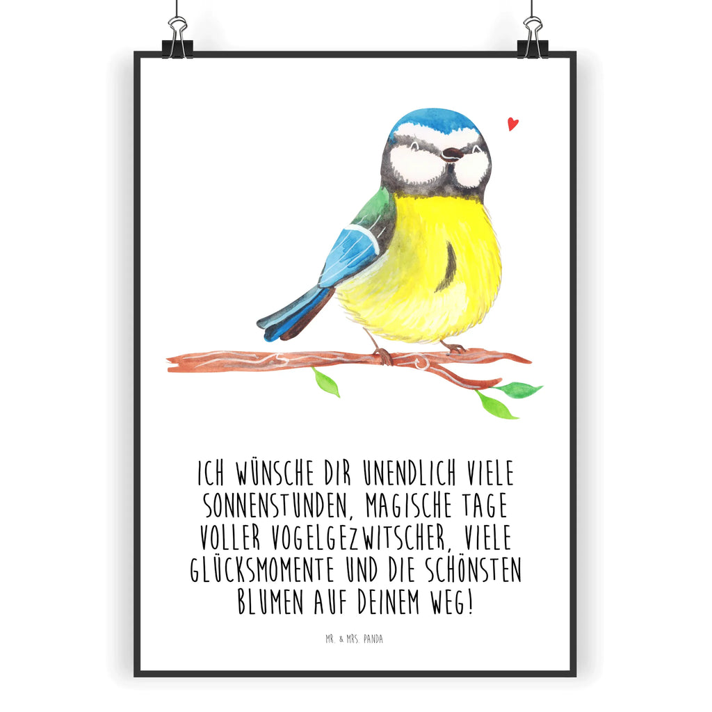 Poster Vogel Blaumeise Wandschmuck, drucke, Poster, Plakat, Deko Bild, kunst für die wand, Wanddeko Bild, kunstdruck poster, Posterdruck, Bild, Wanddekoration, Kunstdruck, Bild für Wand, wanddruck, Designposter, kunstposter, wandkunst, Mr. & Mrs. Panda Poster, grafikposter, Wandbild, wanddeko, Wandposter, Ostern Kinder, Osterhase, Ostergeschenke Kinder, Ostern Geschenk, Geschenke zu Ostern, Ostergeschenke, Osternest, Osterdeko, Ostern, Ostergrüße, Vogel, Frühling, Frühlingsgefühle, Liebe Grüße, Blaumeise, Osterzeit