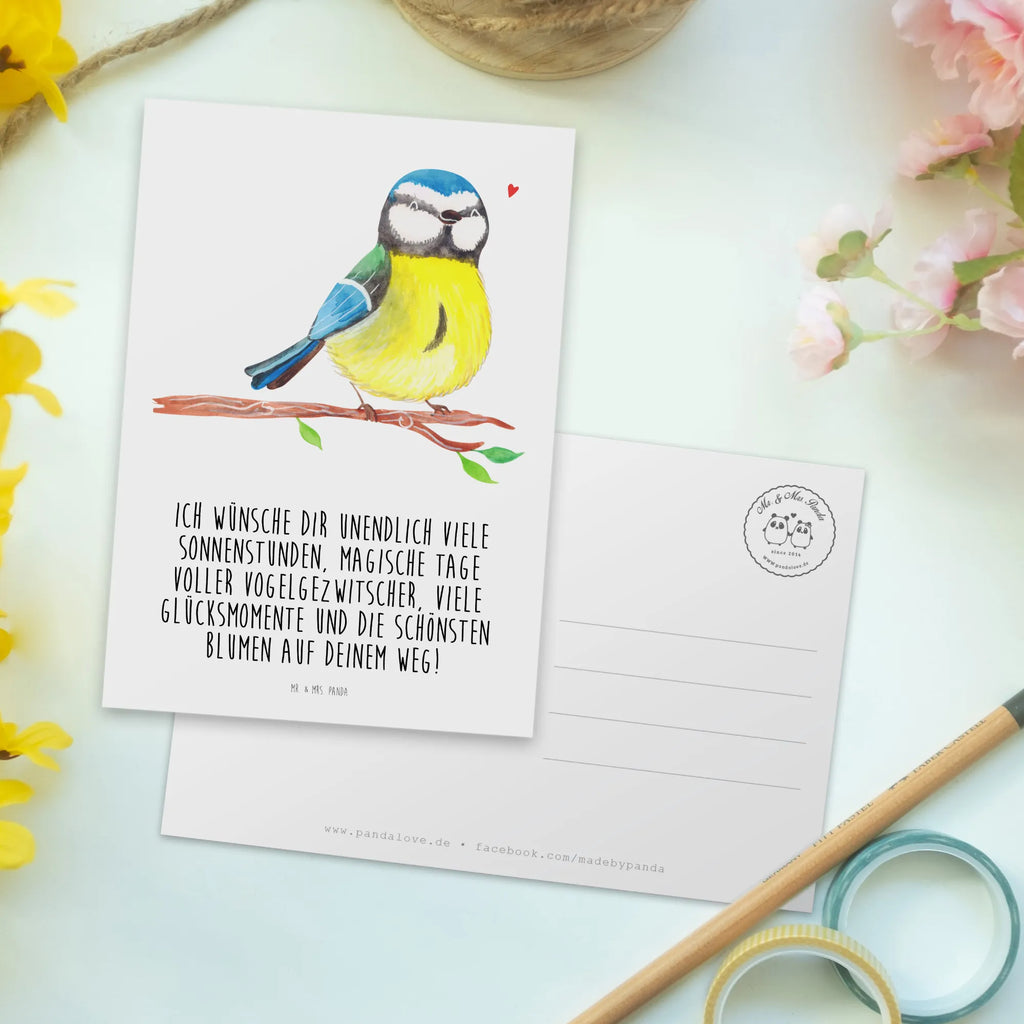 Postkarte Vogel Blaumeise einzelkarte, Kunstkarten, spruchkarte, Motivkarte, kunstkarte, Designkarte, Postkarten, Grußkarte, Ansichtskarte, Postkarte, Fotokarte, Ansichtskarten, bildkarte, Ostergeschenke Kinder, Ostern Geschenk, Osterdeko, Osterhase, Ostern, Ostergeschenke, Geschenke zu Ostern, Osternest, Ostern Kinder, Vogel, Blaumeise, Ostergrüße, Osterzeit, Liebe Grüße, Frühlingsgefühle, Frühling
