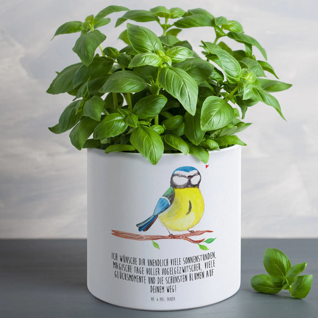 blumen pflanztopf groß Großer Blumenkübel Vogel Blaumeise