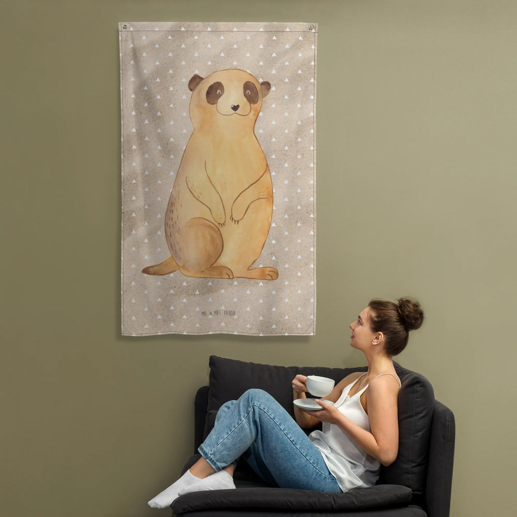 Arrasy Surikatka Afryka, dzikie zwierzęta