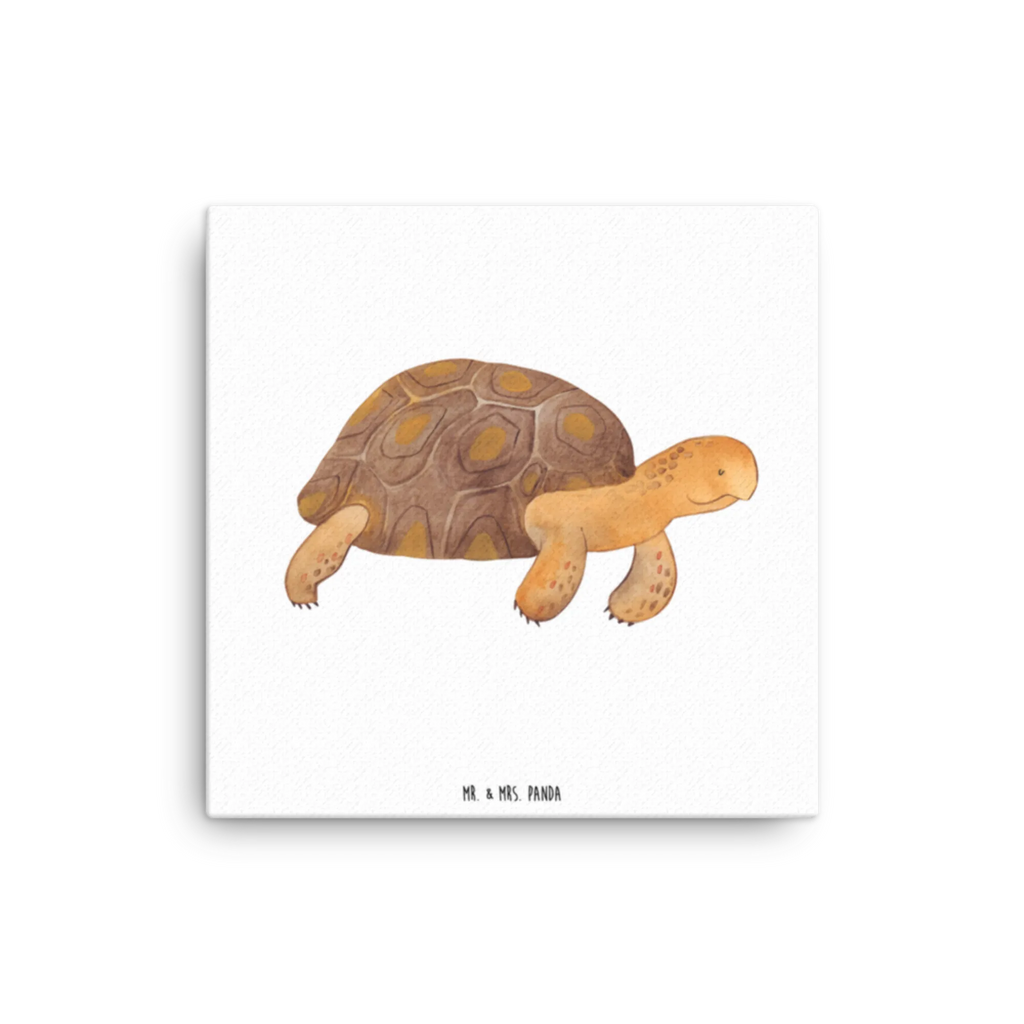 Canvas picture tortoise March Kunstdruck, Leinwand, Meer, Urlaub, Meerestiere, Get Lost, Schildkröte, Abenteuer, Reiselust, Lieblingsmensch, Schildkröten, Motivation, Inspiration, Neustart