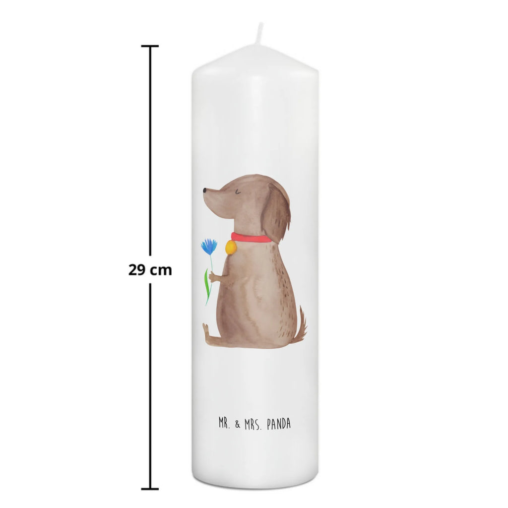 Kerze Hund Blume Wunschkerze, Weihnachtskerze, Grosse Kerze, Handgemachte Kerze, Schmuckkerze, Tischkerze, Stumpenkerze, Geburtskerze, Laternenkerze, Gartenkerze, Erinnerungslicht, Hochzeitskerze, Kerze Mit Spruch, Osterkerze, Erinnerungskerze, Blockkerze, Dekorative Kerze, Dekokerze, Bedruckte Kerze, Dinnerkerze, Tafelkerze, Kommunionskerze, Kerze Mit Motiv, Zylinderkerze, Wachskerze, Geburtstagskerze, Adventskerze, Sprüche, Hund, Hunderasse, Hundebesitzer, Hundemotiv, Haustier, Tierliebhaber, Frauchen, Hunde, Hundeliebe