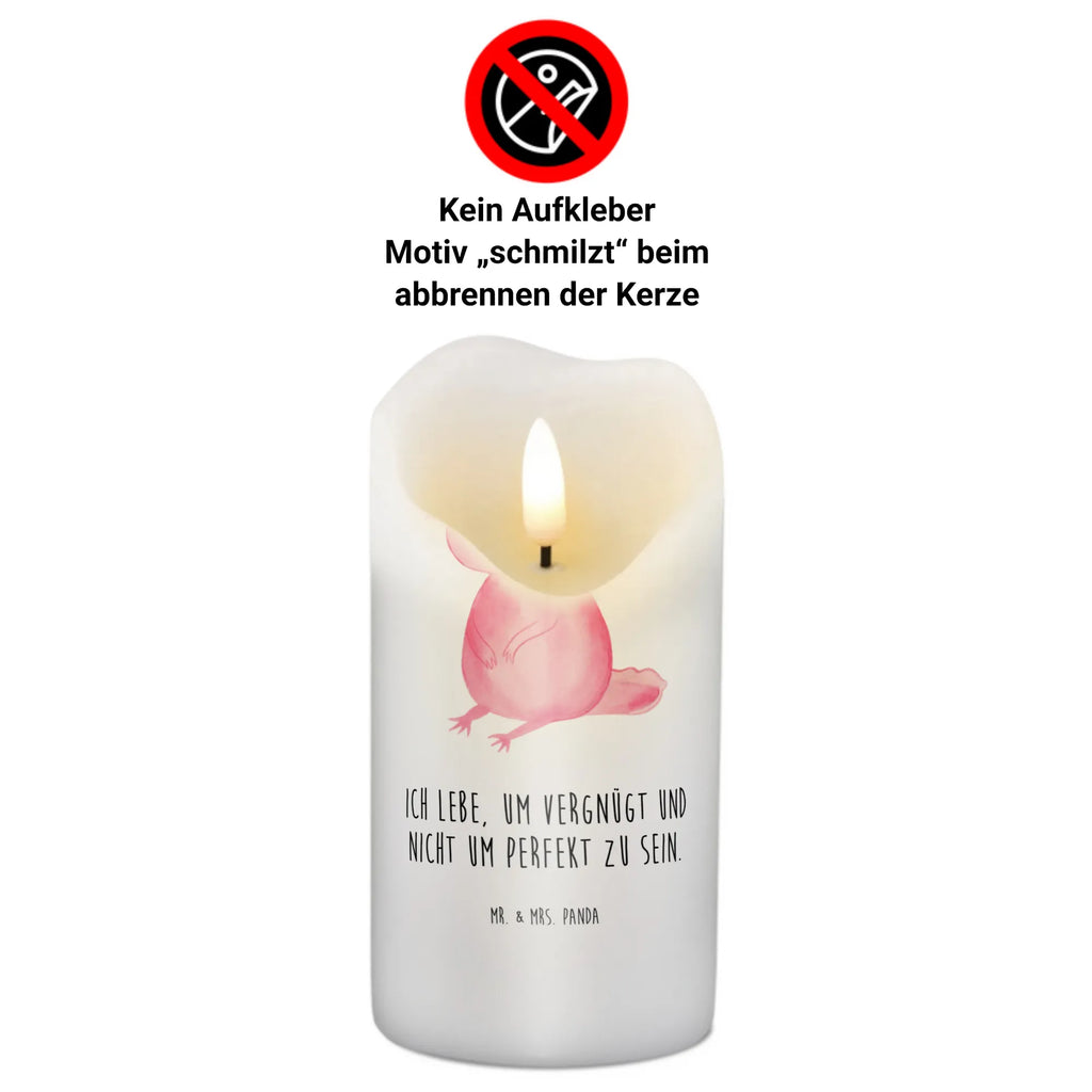 Candle axolotl zero Kerze Ohne Duft, Kerze Für Advent, Handgemachte Kerze, Tafelkerze, Kerze Mit Spruch, Dinnerkerze, Kerze Für Firmung, Kerze Für Weihnachten, Handgegossene Kerze, Grablicht, Kerze Für Ostern, Gedenkkerze, Dinnerkerzenpaar, Duftkerze, Glas-Kerze, Kerze, Tischkerze, Kerze Für Hochzeit, Stearin­kerze, Kerze Mit Motiv, Blockkerze, Laternenkerze, Bio-Kerze, Kerze Für Geburtstag, Kerze Für Taufe, Kerze Als Gastgeschenk, Trauerkerze, Kerze Mit Gravur, Kerze Mit Prägung, Fair-Trade-Kerze, Kerze Für Kommunion, Metall-Kerze, Kerze Mit Fotoeinleger, Grabkerze, Stumpenkerzen-Set, Votivkerze, Andachtskerze, Stumpenkerze, Kerze Mit Duft, Gartenkerze, Kerze Mit Namensgravur, Sojawachskerze, Streukerze, Teelicht, Stabkerze, Outdoor-Kerze, Axolotl, Molch, Freundin, Weisheit, Lebensstil, Axolot, zufrieden, Liebe, Lebensweisheit, vergnügt, fröhlich