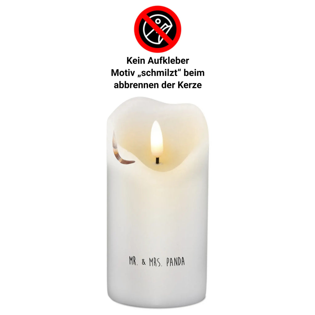 Candle Coati Geburtstagskerze, Wachskerze, Tafelkerze, Dekokerze, Gartenkerze, Grosse Kerze, Schmuckkerze, Bedruckte Kerze, Tischkerze, Geburtskerze, Laternenkerze, Kommunionskerze, Dinnerkerze, Wunschkerze, Adventskerze, Zylinderkerze, Handgemachte Kerze, Dekorative Kerze, Hochzeitskerze, Erinnerungslicht, Weihnachtskerze, Osterkerze, Stumpenkerze, Kerze Mit Spruch, Kerze Mit Motiv, Erinnerungskerze, Blockkerze, Gute Laune, Tiermotive, Tiere, Lustige Sprüche, Rüsselbär, Nasenbär, Nasenbären, Bär