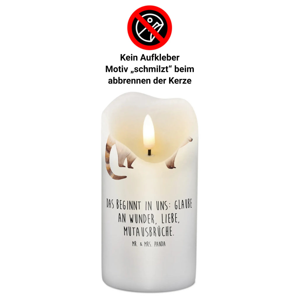 Candle Coati Geburtstagskerze, Wachskerze, Tafelkerze, Dekokerze, Gartenkerze, Grosse Kerze, Schmuckkerze, Bedruckte Kerze, Tischkerze, Geburtskerze, Laternenkerze, Kommunionskerze, Dinnerkerze, Wunschkerze, Adventskerze, Zylinderkerze, Handgemachte Kerze, Dekorative Kerze, Hochzeitskerze, Erinnerungslicht, Weihnachtskerze, Osterkerze, Stumpenkerze, Kerze Mit Spruch, Kerze Mit Motiv, Erinnerungskerze, Blockkerze, Gute Laune, Tiermotive, Tiere, Lustige Sprüche, Rüsselbär, Nasenbär, Nasenbären, Bär