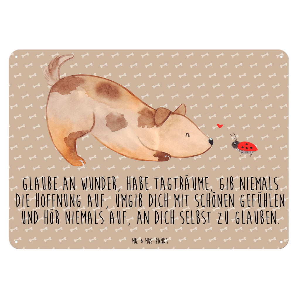 Blechschild Hund Marienkäfer Blechschild Küche, Dekoschild Metall, Blechschild Groß, Wandschild Metall, Blechschild Zum Aufhängen, Blechschild Für Frauen, Blechschild Für Männer, Türschild Metall, Blechschild Büro, Blechschild, Hunderasse, Hundebesitzer, Hund, Haustier, Sprüche, Tierliebhaber, Hundemotiv, Hundespruch, Mischling, Mischlinghund, Marienkäfer, Hunde