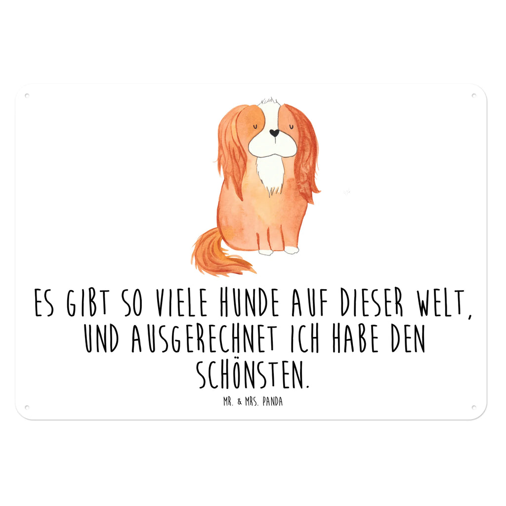 Blechschild Hund Cavalier King Charles Spaniel Blechschild Küche, Blechschild Zum Aufhängen, Türschild Metall, Blechschild Büro, Wandschild Metall, Blechschild Für Männer, Blechschild, Blechschild Groß, Blechschild Für Frauen, Dekoschild Metall, Hund, Sprüche, Hunderasse, Hundebesitzer, Hundemotiv, Haustier, Tierliebhaber, Cockerspaniel, Spaniel, Cavalier King Charles Spaniel, Schönster Hund, Spruch