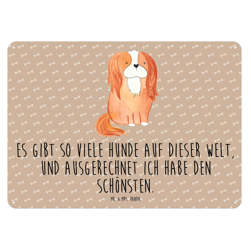 Blechschild Hund Cavalier King Charles Spaniel Blechschild Küche, Blechschild Zum Aufhängen, Türschild Metall, Blechschild Büro, Wandschild Metall, Blechschild Für Männer, Blechschild, Blechschild Groß, Blechschild Für Frauen, Dekoschild Metall, Hund, Sprüche, Hunderasse, Hundebesitzer, Hundemotiv, Haustier, Tierliebhaber, Cockerspaniel, Spaniel, Cavalier King Charles Spaniel, Schönster Hund, Spruch