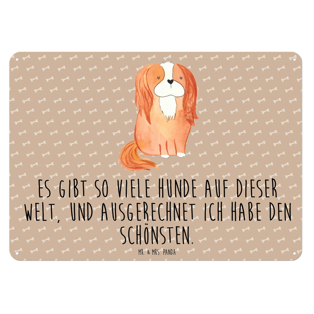 Blechschild Hund Cavalier King Charles Spaniel Blechschild Küche, Blechschild Zum Aufhängen, Türschild Metall, Blechschild Büro, Wandschild Metall, Blechschild Für Männer, Blechschild, Blechschild Groß, Blechschild Für Frauen, Dekoschild Metall, Hund, Sprüche, Hunderasse, Hundebesitzer, Hundemotiv, Haustier, Tierliebhaber, Cockerspaniel, Spaniel, Cavalier King Charles Spaniel, Schönster Hund, Spruch