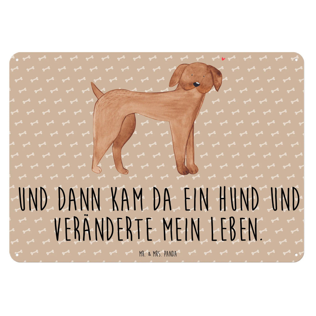 Tin sign Dog mastiff Blechschild Groß, Blechschild, Blechschild Küche, Blechschild Für Männer, Dekoschild Metall, Blechschild Büro, Blechschild Für Frauen, Türschild Metall, Blechschild Zum Aufhängen, Wandschild Metall, Hunderasse, Hundebesitzer, Hund, Haustier, Sprüche, Tierliebhaber, Hundemotiv, Great Dane, Deutsche Dogge, Hunde, Dogge