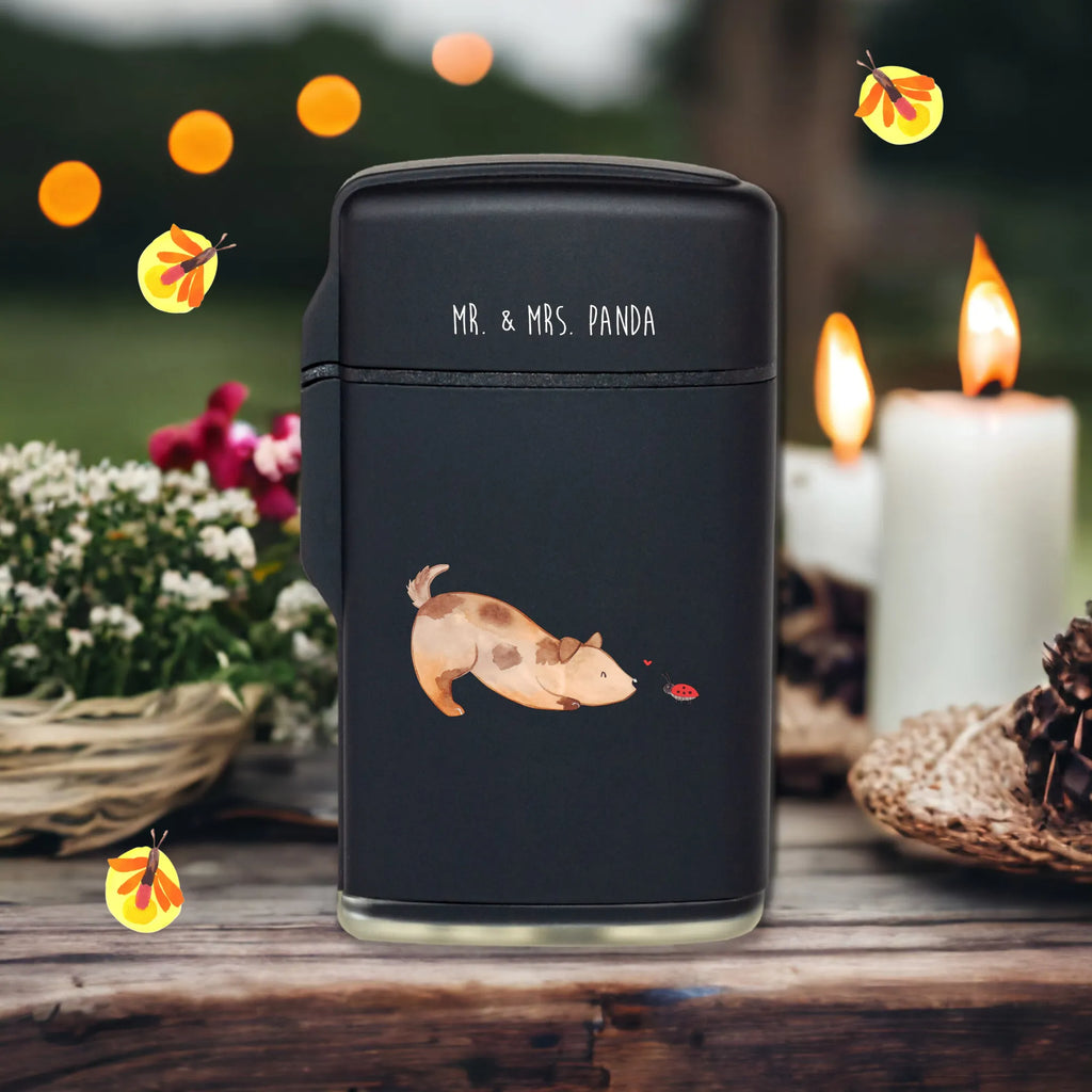 Lighter Dog ladybug Feuerzeug wiederbefüllbar, Feuerzeug Für Männer, Feuerzeug, Feuerzeug normal, Feuerzeug Mit Kindersicherung, Feuerzeug Bedruckt, Feuerzeuge, Feuerzeug mit Motiv, Feuerzeug Nachfüllbar, Feuerzeug Windfest, Feuerzeug Für Camping, Gasfeuerzeug, Feuerzeug Für Kerzen, Feuerzeug schlicht, Feuerzeug Für Grill, Feuerzeug Geschenk, Feuerzeug Für Kamin, Feuerzeug Elektrisch, Feuerzeug Design, Feuerzeug Für Frauen, Feuerzeug Modern, Feuerzeug Umweltfreundlich, Feuerzeug Vintage, Hund, Hundemotiv, Haustier, Hunderasse, Tierliebhaber, Hundebesitzer, Sprüche, Hunde, Mischlinghund, Hundespruch, Mischling, Marienkäfer