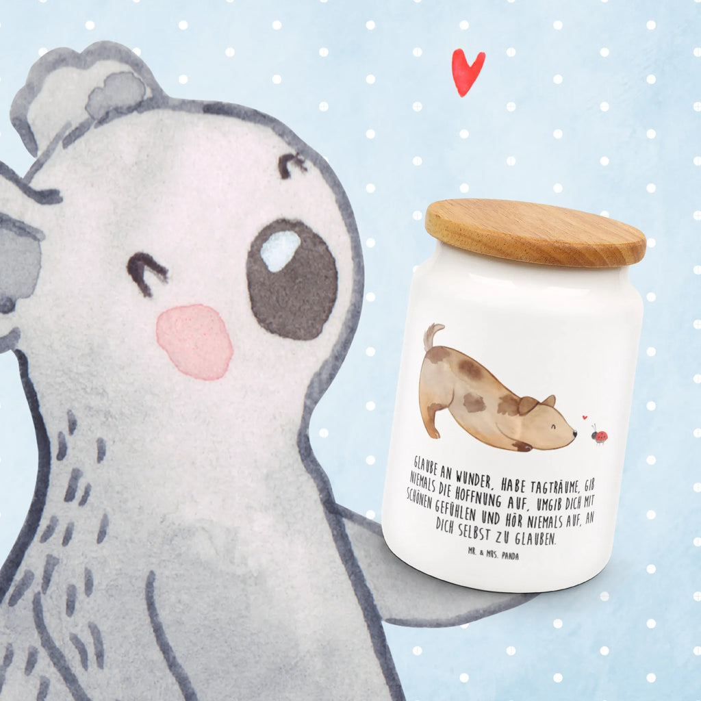 Pojemnik na żywność pies biedronka Pies, motyw psa, zwierzę domowe, rasa psa, miłośnik zwierząt, właściciel psa, powiedzenia