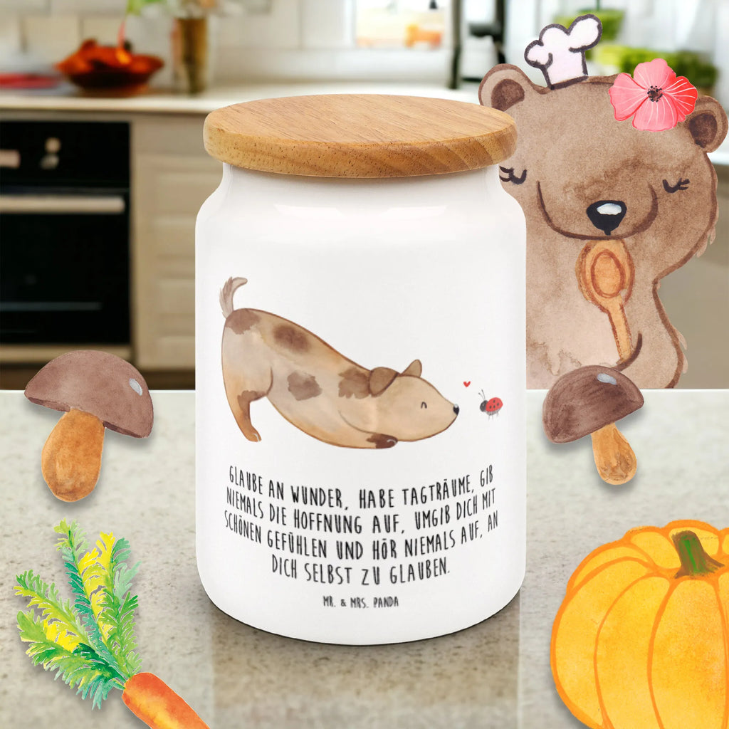 Pojemnik na żywność pies biedronka Pies, motyw psa, zwierzę domowe, rasa psa, miłośnik zwierząt, właściciel psa, powiedzenia