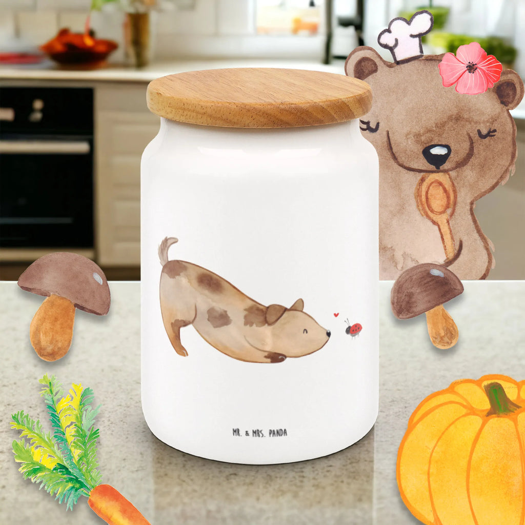 Pojemnik na żywność pies biedronka Pies, motyw psa, zwierzę domowe, rasa psa, miłośnik zwierząt, właściciel psa, powiedzenia