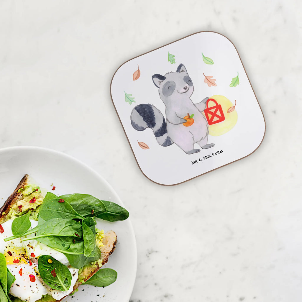 Untersetzer Waschbär Laterne Untersetzer Gläser, Untersetzer aus Holz, Untersetzer für Gläser, Glasuntersetzer, Untersetzer Holz, Holzuntersetzer, Getränkeuntersetzer, Korkuntersetzer, Bierdeckel, Untersetzer, Untersetzer Design, Tassen Untersetzer, Halloween, Deko, Martinssingen, Dekoration, Geschenke, Schenken, Süßes sonst gibt's saures, Halloween Deko, Trick or Treat, Waschbär, Laterne, Herbst