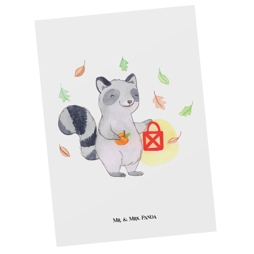 Postkarte Waschbär Laterne Ansichtskarte, Ansichtskarten, Designkarte, Fotokarte, Postkarte, bildkarte, Motivkarte, einzelkarte, Kunstkarten, Grußkarte, kunstkarte, spruchkarte, Postkarten, Dekoration, Geschenke, Schenken, Deko, Halloween, Martinssingen, Süßes Sonst Gibt's Saures, Laterne, Herbst, Halloween Deko, Trick Or Treat, Waschbär