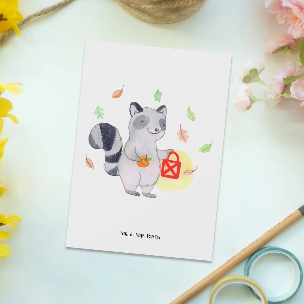 Postkarte Waschbär Laterne Ansichtskarte, Ansichtskarten, Designkarte, Fotokarte, Postkarte, bildkarte, Motivkarte, einzelkarte, Kunstkarten, Grußkarte, kunstkarte, spruchkarte, Postkarten, Dekoration, Geschenke, Schenken, Deko, Halloween, Martinssingen, Süßes Sonst Gibt's Saures, Laterne, Herbst, Halloween Deko, Trick Or Treat, Waschbär