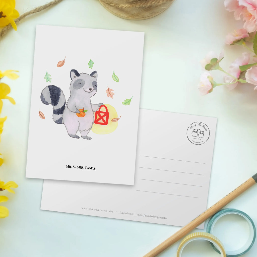 Postkarte Waschbär Laterne Ansichtskarte, Ansichtskarten, Designkarte, Fotokarte, Postkarte, bildkarte, Motivkarte, einzelkarte, Kunstkarten, Grußkarte, kunstkarte, spruchkarte, Postkarten, Dekoration, Geschenke, Schenken, Deko, Halloween, Martinssingen, Süßes Sonst Gibt's Saures, Laterne, Herbst, Halloween Deko, Trick Or Treat, Waschbär